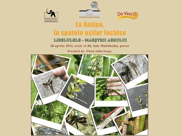 Libelulele invadează Muzeul Antipa