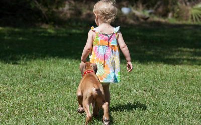 Ce spun părinții despre animalele de companie