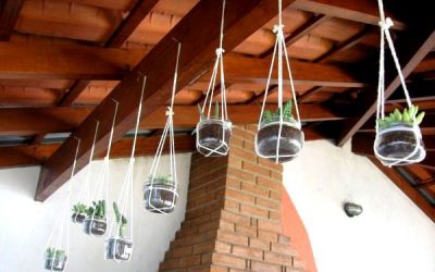 Borcanele de la zacuscă se folosesc acum pe post de ghivece