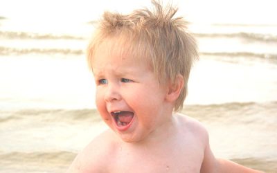 Există vreun părinte care nu a țipat niciodată?