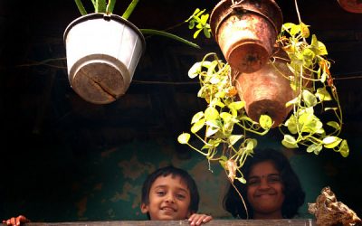 Grădinărim? Unde? În balcon
