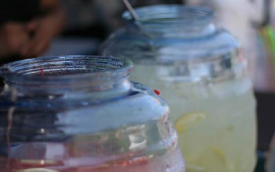 Socată (de la 1 an)