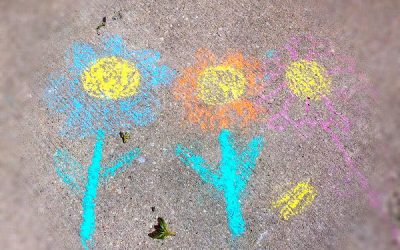 Duminică plină de flori și plante