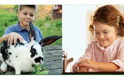 La Ferma Animalelor copiii învață prin joacă despre microbi și bacterii