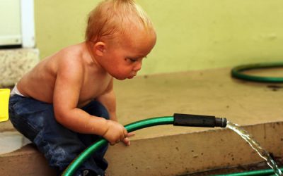 O mână de ajutor în grădină