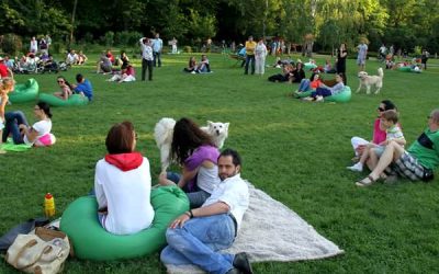 Roaba de cultură: program special pentru copii