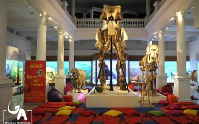 Legănaţi de Deinotherium sau cum dormim cu dinozaurii din Antipa