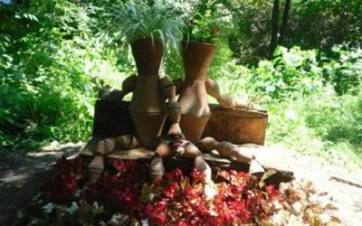 Se deschide planta! Pardon, se deschide Grădina Copiilor din Grădina Botanică!