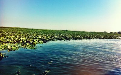 Si uite asa m-am dat la o parte din drum