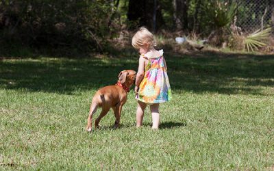 Căței și bebeluși – rețetă de succes