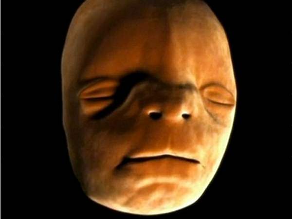 Cum se formează fața unui bebeluș în timpul sarcinii
