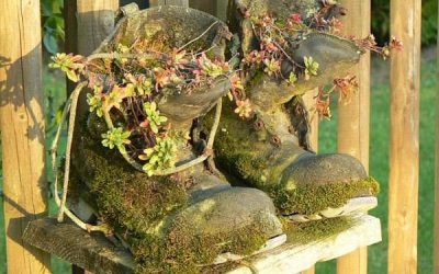 Două decorațiuni de înveselit casa în toamna aceasta