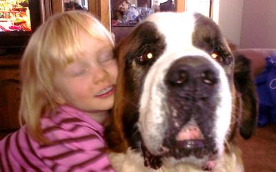 Voi cu ce câine semănaţi? :-)