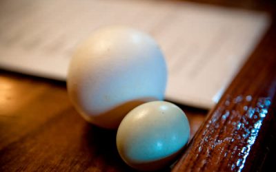 Experiment cu ouă crude