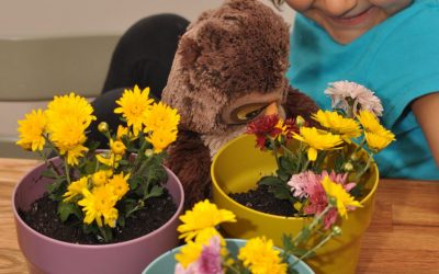 Joacă şi bucătăreală, cu Smaranda – azi ghivece cu flori!