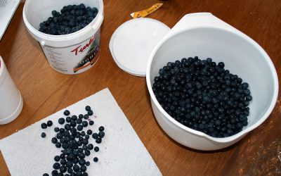 Afine sau antioxidanți la puterea a treia