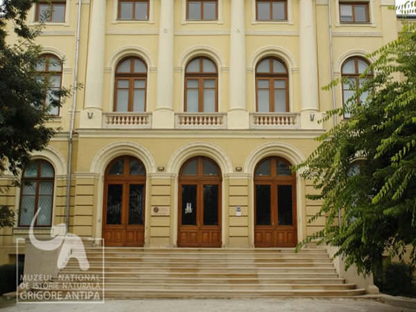 La Antipa se organizează Academia Copiilor