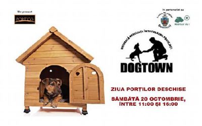 În vizită la DogTown