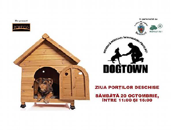 În vizită la DogTown