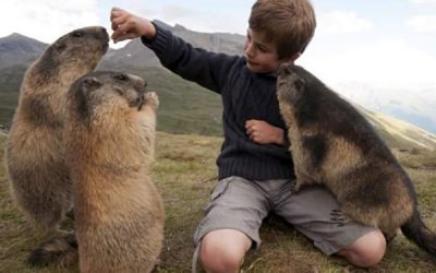 Comunicarea dintre copii și necuvântătoare