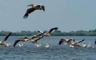 Jurilovca – vacanță pentru cei care nu s-au săturat să se plimbe anul acesta