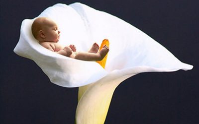 Atelier de creație florală pentru copii