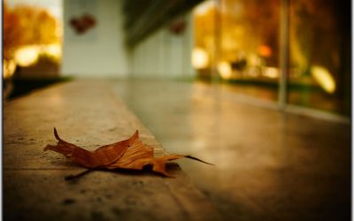 Copiii lumii – zece păpuşi etnice