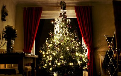 Cum păstrezi bradul proaspăt mai mult timp