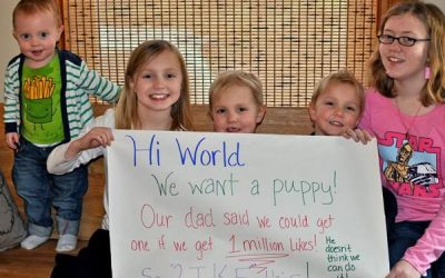 Dacă strângem 1 milion de like-uri primim un cățel