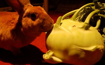 Gulie, o legumă bogată în vitamina C și antioxidanți