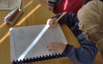 Locuiesc la Cluj, dar fac școala în Canada