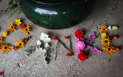 Cum îți înveți copilul să spună “Mulțumesc!”