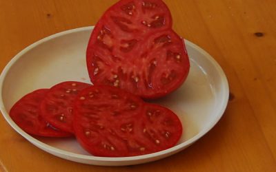 Alimentaţia, cauză şi remediu împotriva cancerului