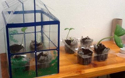 Efect de seră, în casa voastră