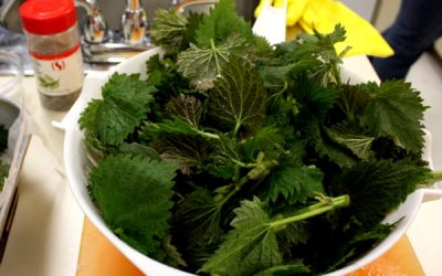 Mâncăm sănătos, dar știm ce mâncăm?