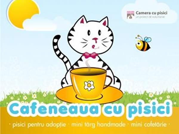 Cafeneaua cu Pisici: pisici fără număr în căutare de familii adoptive