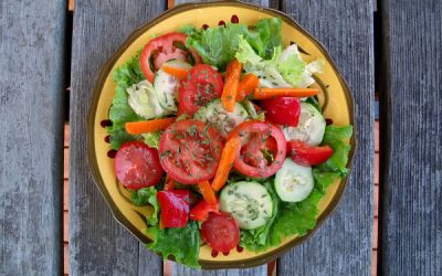 Beneficiile unui meniu ovo-lacto vegetarian pentru copii