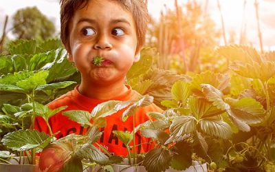 Copilăria, în imagini haioase