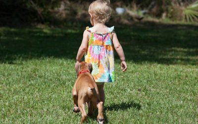 Primii pași pentru a dresa cățelul familiei