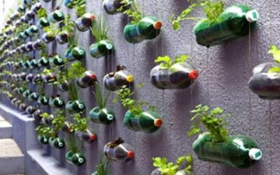 Transformă balconul într-o grădină cu flori