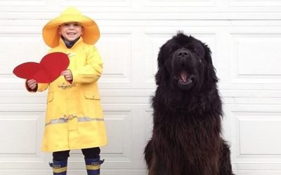 Proiect foto simpatic: copilul cu cel mai bun prieten al său