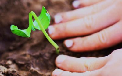 Week-end-ul e o poveste… cu un atelier pe măsură