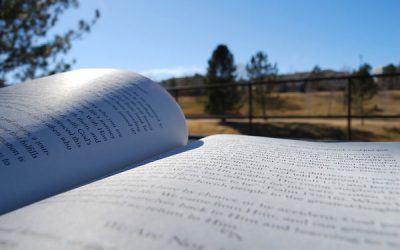 Biblioteca se mută în parc