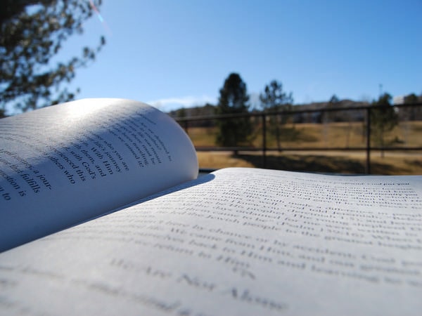 Biblioteca se mută în parc