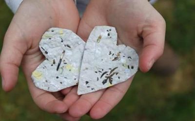 Hârtia din care răsar flori