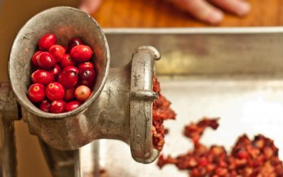 De ce e bine să consumăm merișor