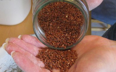 Semințe de in: beneficii mari de la semințe mici