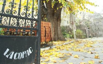 Ne întâlnim La Copac, la terasă adică