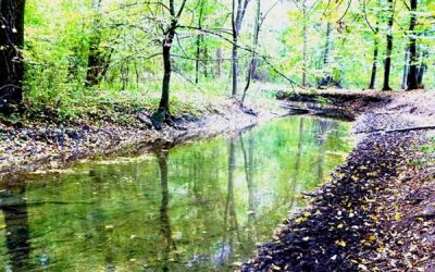 Vine vara, bine-mi pare că avem un parc… la soare