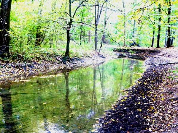 Vine vara, bine-mi pare că avem un parc… la soare